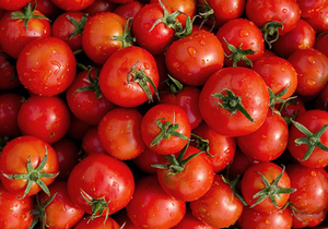 西紅柿的營養與功效