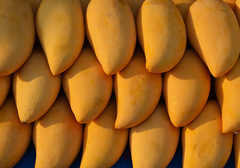 芒果具有哪些營養價值，為什么能促進腸胃的吸收？